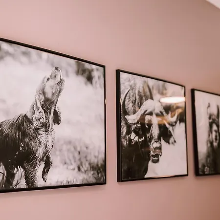 מלון Allerdale Court 3*